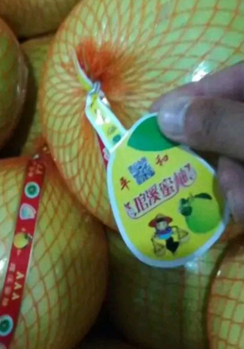 蜜柚，红心柚，大量供应电商果，欢迎订购！