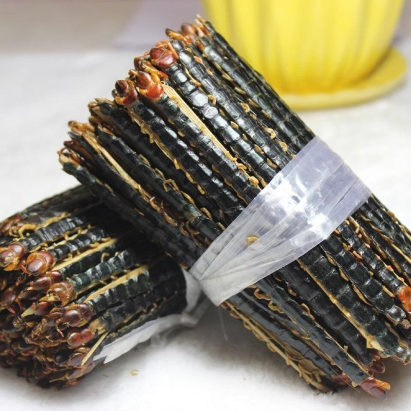 湖北红头蜈蚣质好价优产地直供一手货源