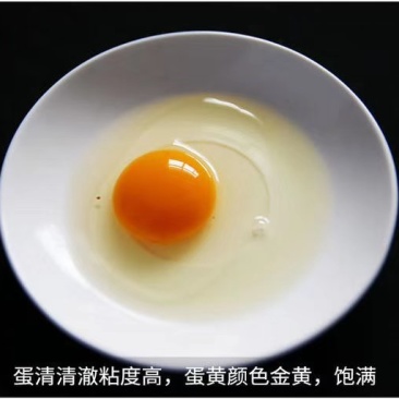 来自大别山的双色精品土鸡蛋
