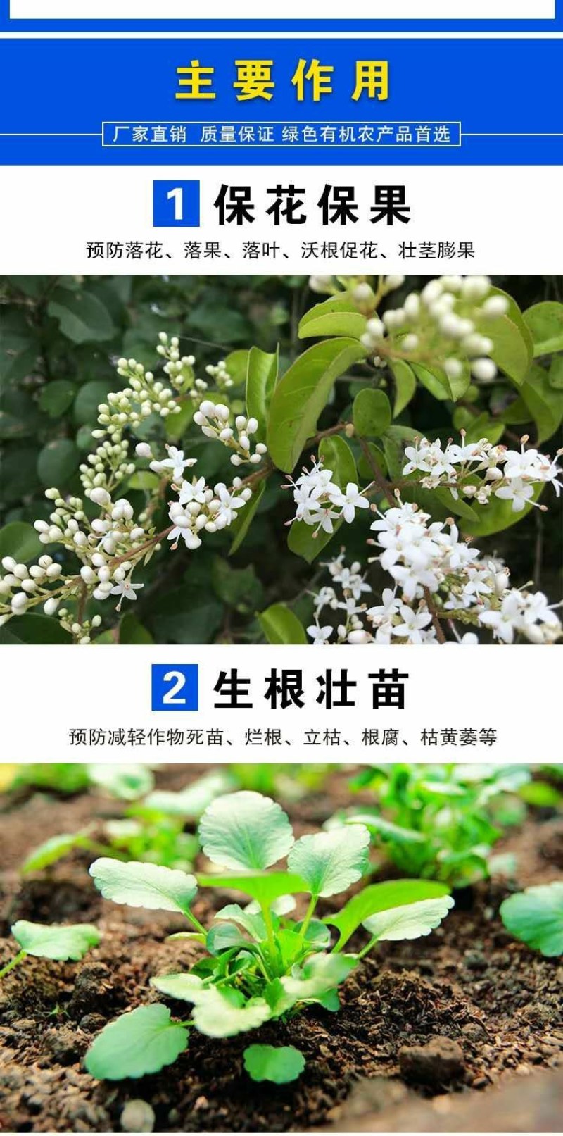 发酵羊粪，瓜果蔬菜病害少.生长旺，上市早。通用肥