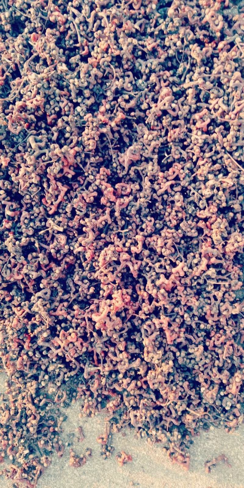 赣南特产，拐枣又名万寿果，太阳自然晾晒可泡酒，可视频看货