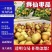 山东冬枣鲜枣一件代发诚信代办良心代办一手货源诚招电商