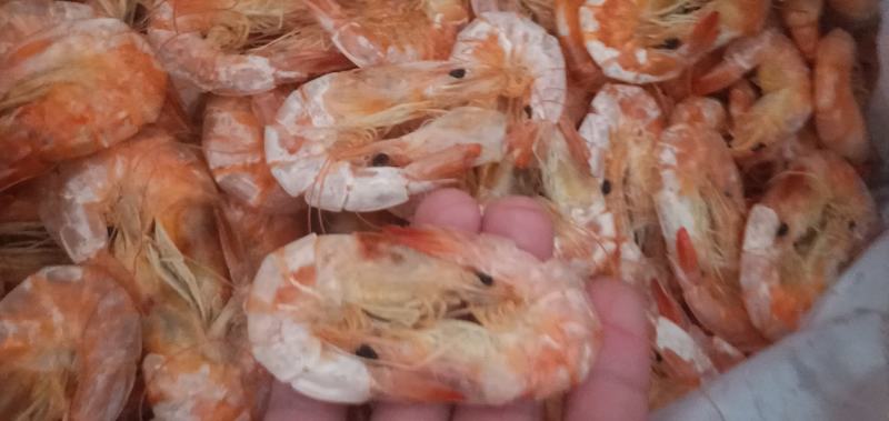 烤虾干烤虾精品特级淡干无盐全规格大量有货欢迎咨询产地直发