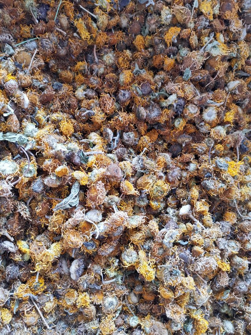 旋覆花无硫净货散装旋覆花金佛花量大从优可供批发