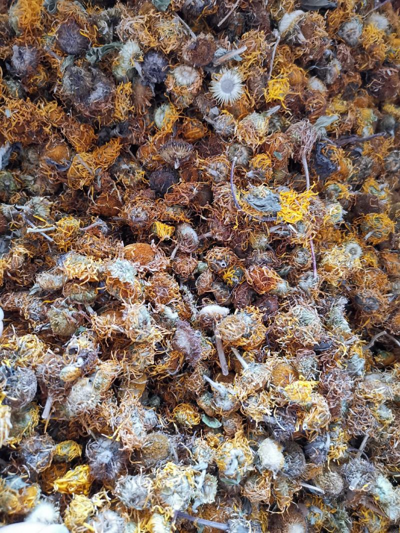 旋覆花无硫净货散装旋覆花金佛花量大从优可供批发