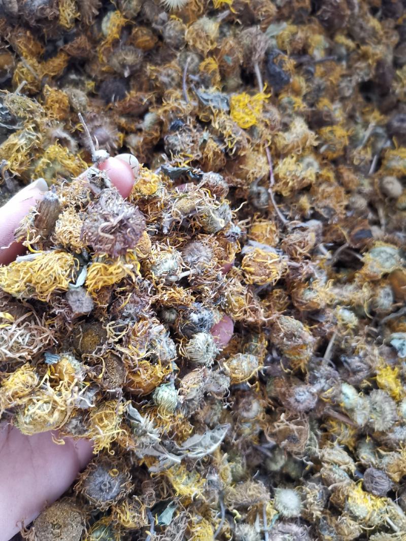 旋覆花无硫净货散装旋覆花金佛花量大从优可供批发