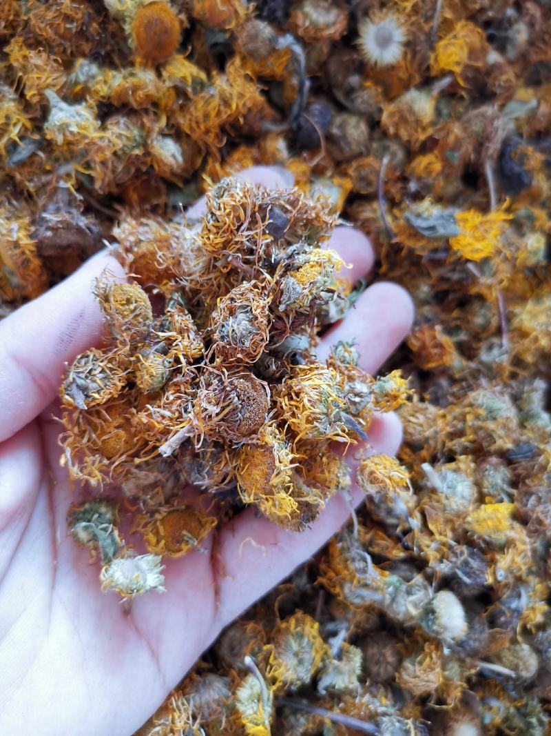 旋覆花无硫净货散装旋覆花金佛花量大从优可供批发