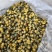 胎菊，北京菊，可以泡茶大量有货需要可以直接下单！