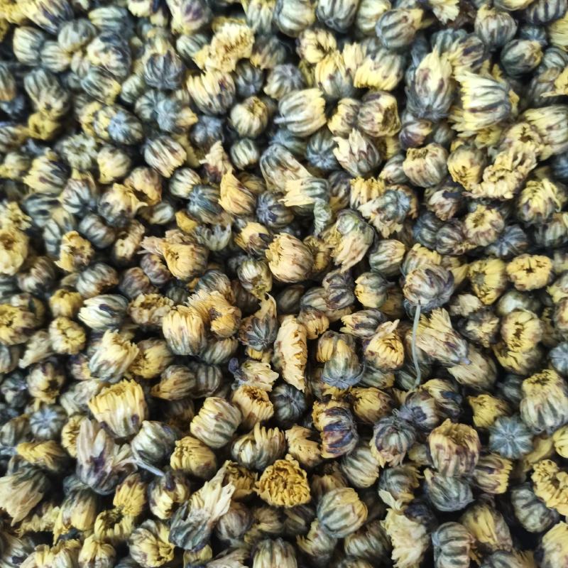 胎菊，北京菊，可以泡茶大量有货需要可以直接下单！