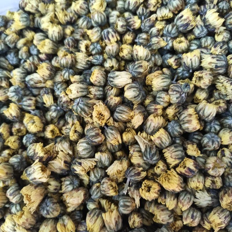 胎菊，北京菊，可以泡茶大量有货需要可以直接下单！