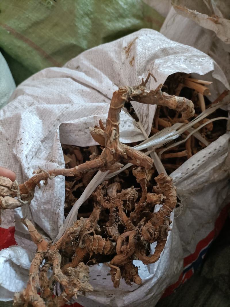 中药材，野生高梁姜，竹节风产地直营，现货出售