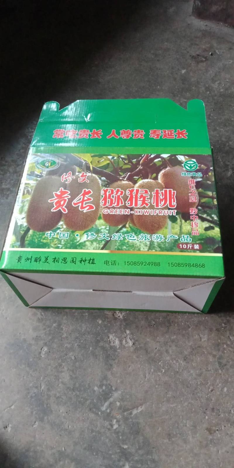 正宗修文县贵长猕猴桃（自家果园）
