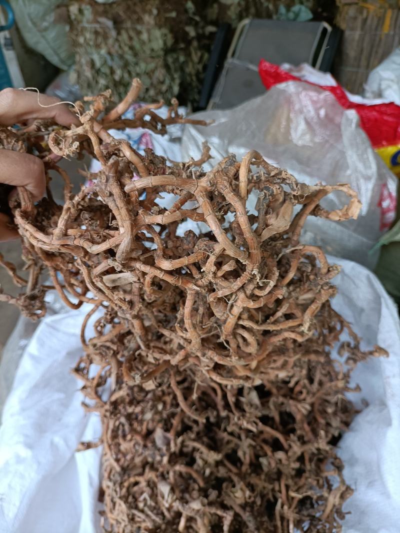 中药材，野生高梁姜，竹节风产地直营，现货出售
