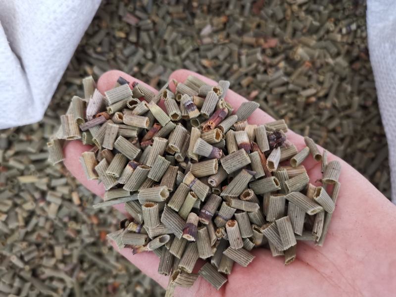 木贼草无硫新货木贼草节节草无杂质量大从优可供批发
