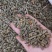 木贼草无硫新货木贼草节节草无杂质量大从优可供批发