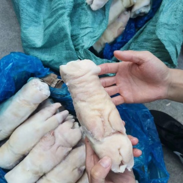 猪手猪蹄带筋猪脚肥美特级品