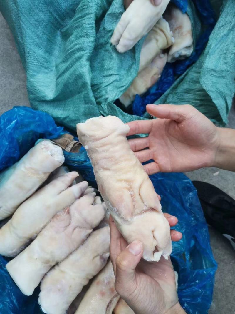 猪手猪蹄带筋猪脚肥美特级品