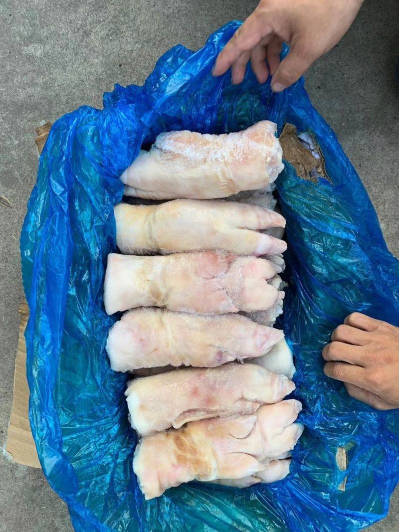 猪手猪蹄带筋猪脚肥美特级品
