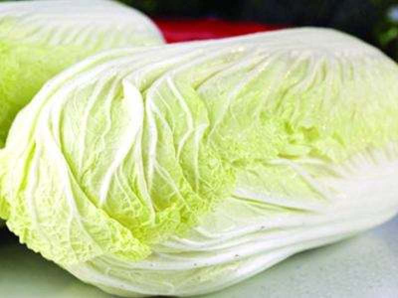 【扶农特惠】高山精品白菜，品质保证，一手货源，合作共赢