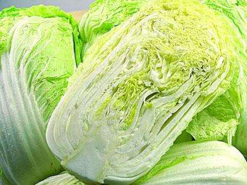 【扶农特惠】高山精品白菜，品质保证，一手货源，合作共赢