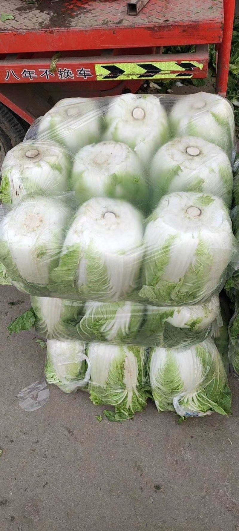 【扶农特惠】高山精品白菜，品质保证，一手货源，合作共赢