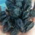 新疆吐鲁番大号黑加仑葡萄干，1公斤起发货，量多优惠多