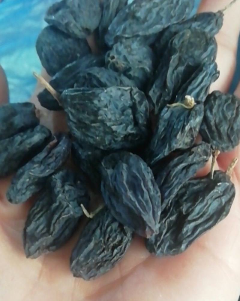 新疆吐鲁番大号黑加仑葡萄干，1公斤起发货，量多优惠多