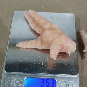巴西凤爪，巴西凤爪35+