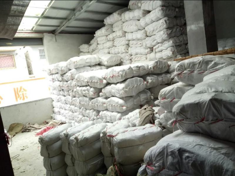 【热销】微山湖2021年新荷叶整张精品荷叶