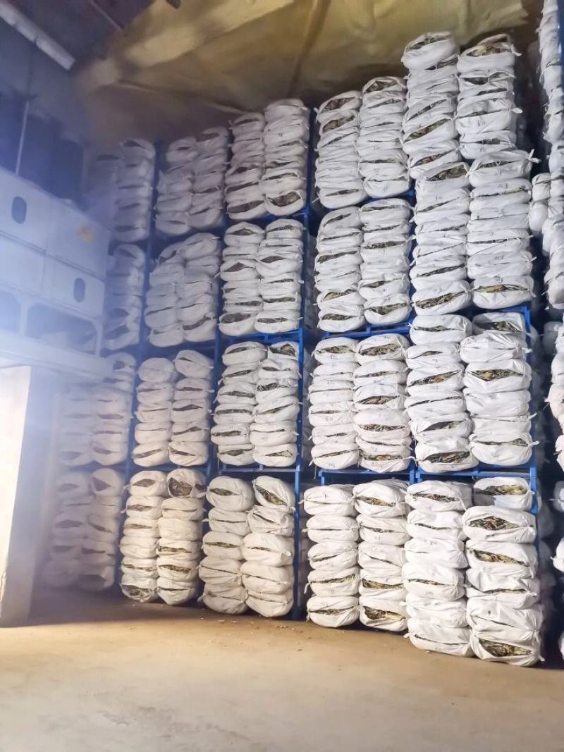 【热销】微山湖2021年新荷叶整张精品荷叶