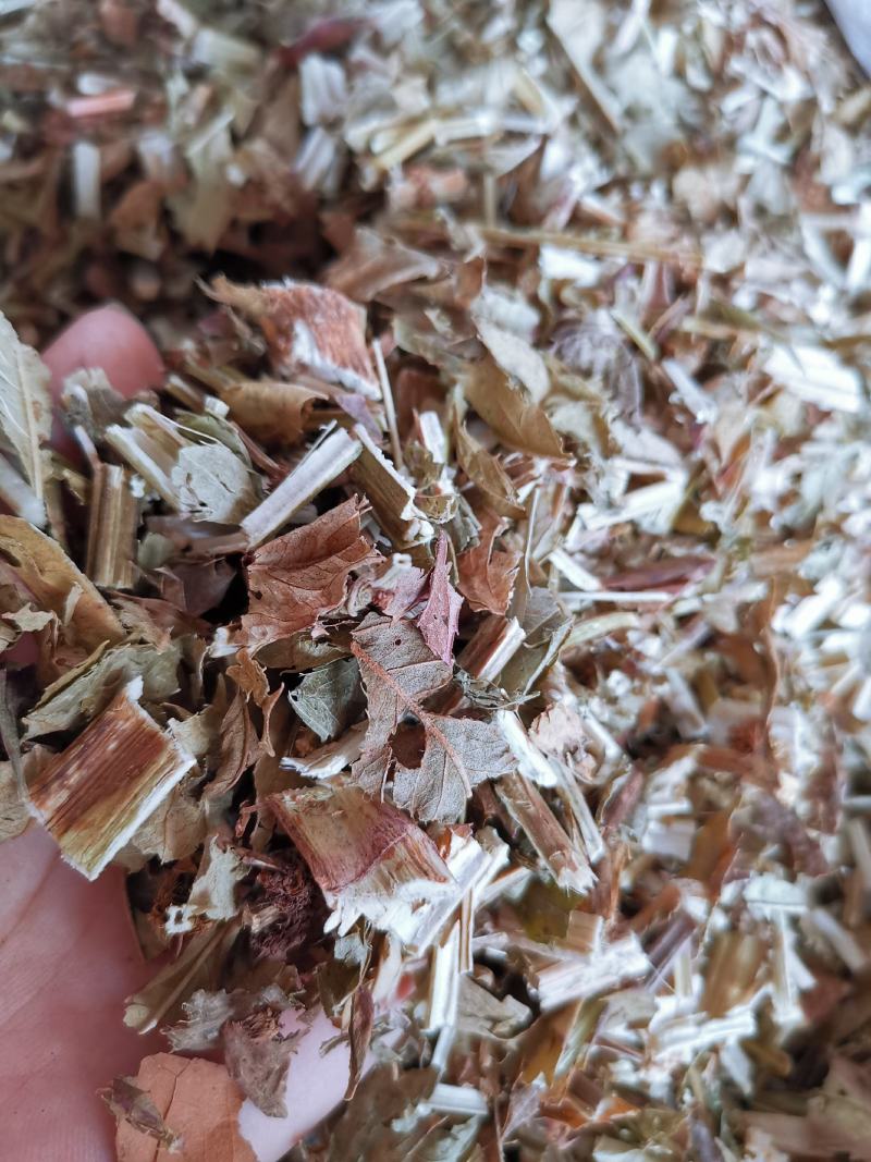 泽兰无硫无添加净货泽兰供应各类草药量大从优