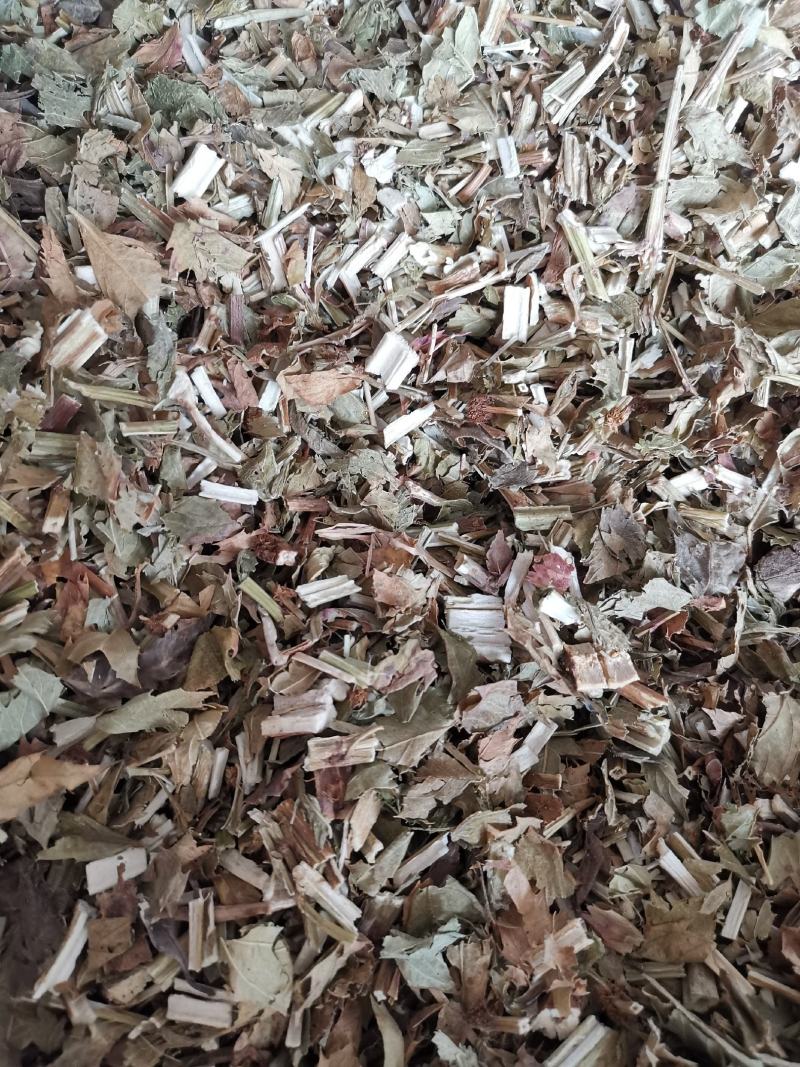 泽兰无硫无添加净货泽兰供应各类草药量大从优