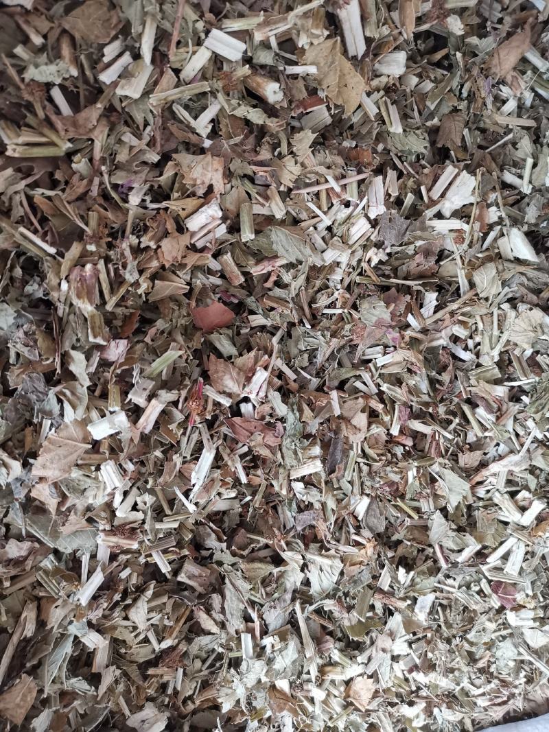 泽兰无硫无添加净货泽兰供应各类草药量大从优