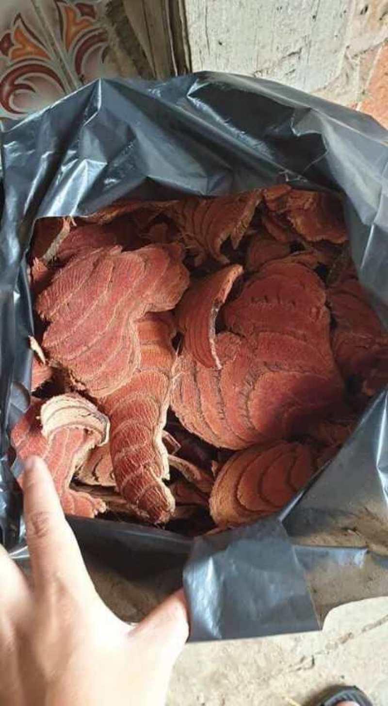 越南进口大片靓货鸡血藤货非常靓