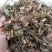 泽兰无硫无添加净货泽兰供应各类草药量大从优
