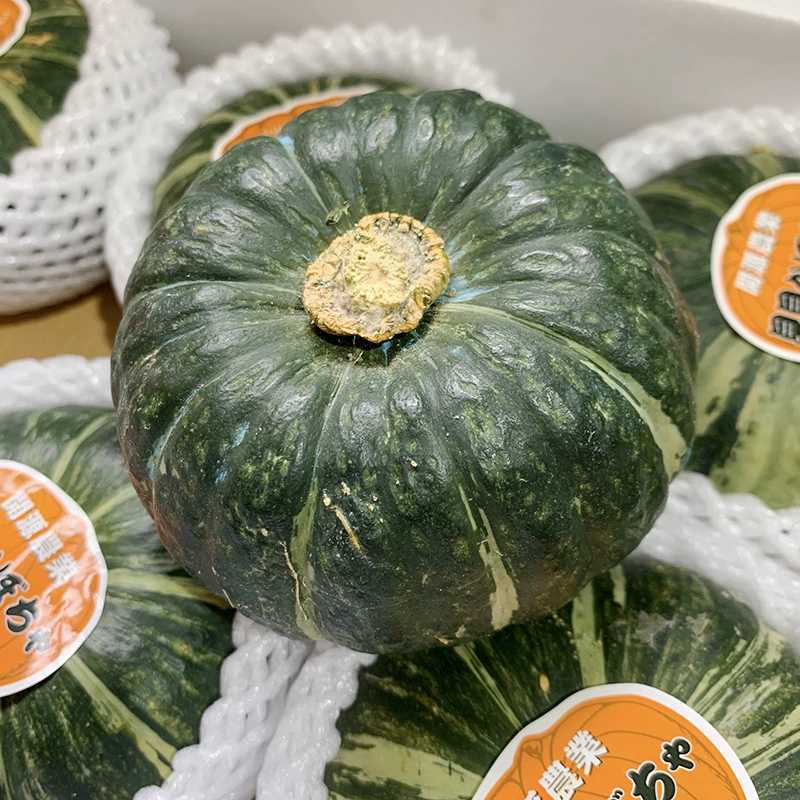 ✅贝贝南瓜批发板栗味日本真贝贝基地一件代发