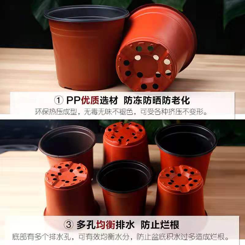 花盆育苗盆塑料育苗花盆加厚育苗耐用花盆育苗盆