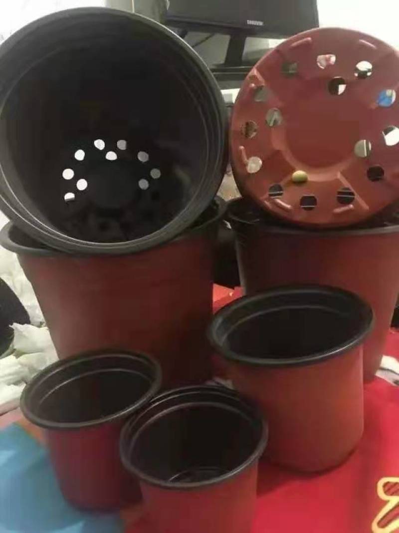 花盆育苗盆塑料育苗花盆加厚育苗耐用花盆育苗盆