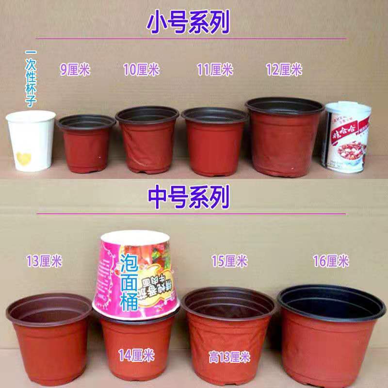 花盆育苗盆塑料育苗花盆加厚育苗耐用花盆育苗盆