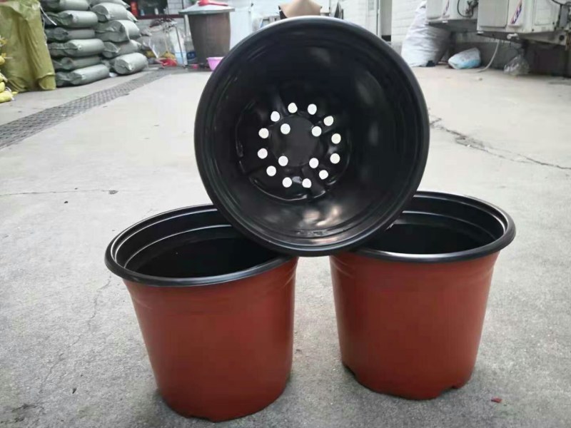 花盆育苗盆塑料育苗花盆加厚育苗耐用花盆育苗盆