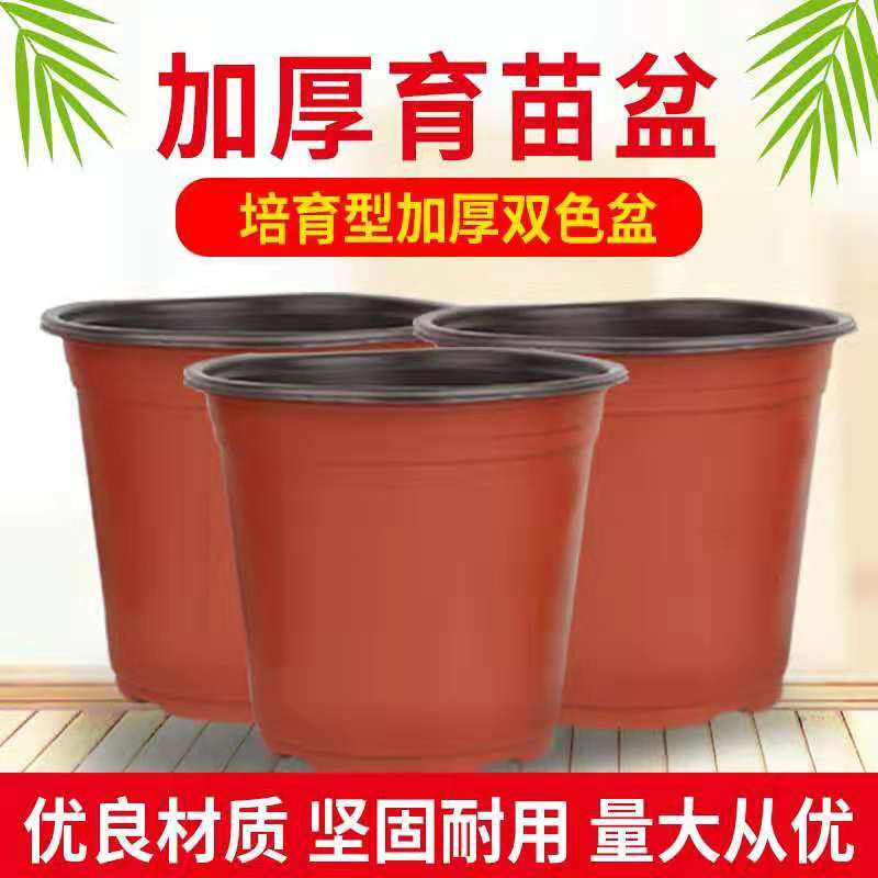 花盆育苗盆塑料育苗花盆加厚育苗耐用花盆育苗盆