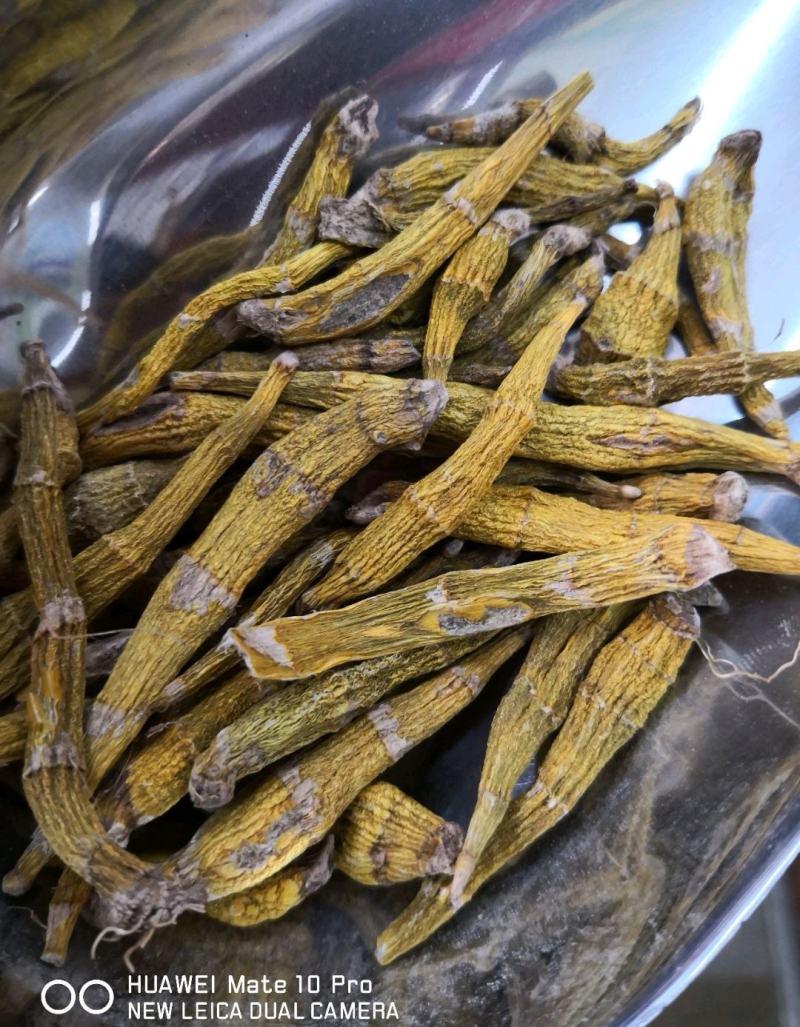 金钗石斛散装干货1斤起包邮量大从优