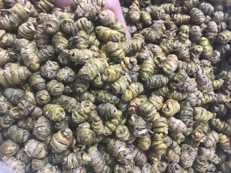 霍山仿野生铁皮石斛枫斗铁皮石斛干条寸条芽条石斛粉500克