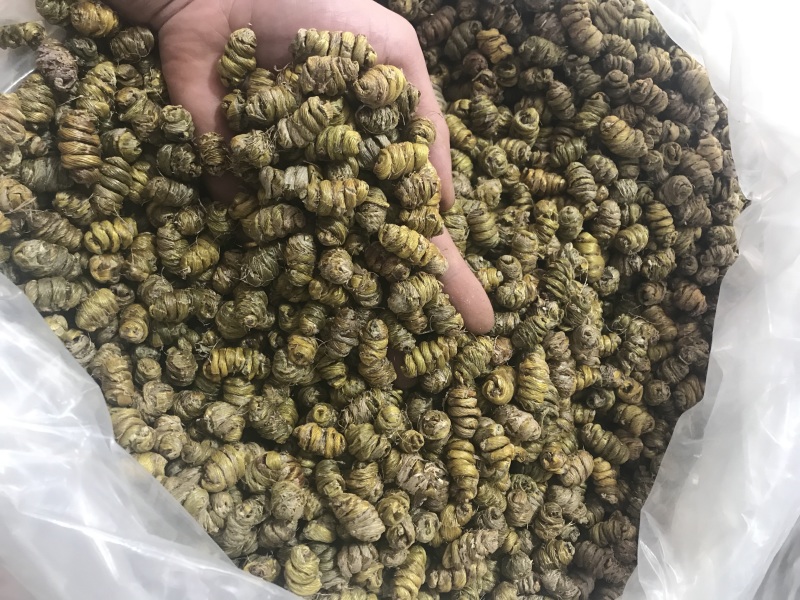 霍山仿野生铁皮石斛枫斗铁皮石斛干条寸条芽条石斛粉500克