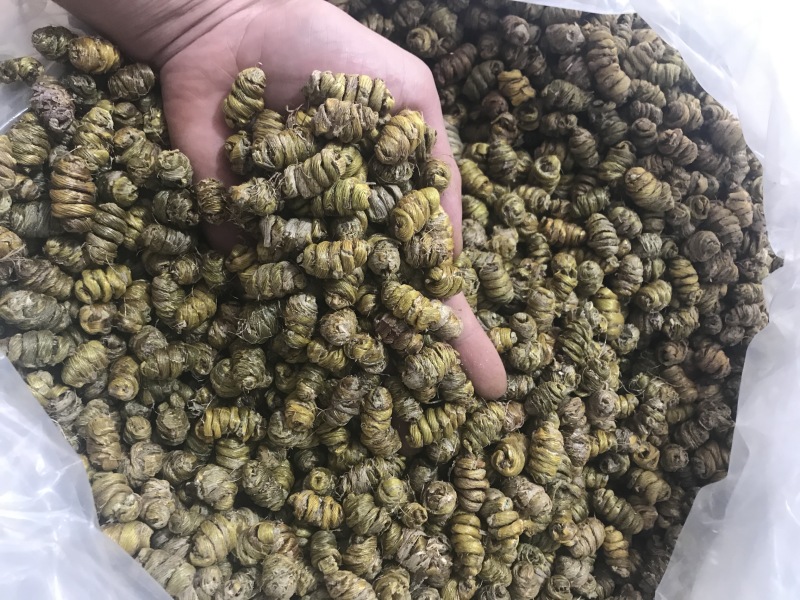 霍山仿野生铁皮石斛枫斗铁皮石斛干条寸条芽条石斛粉500克