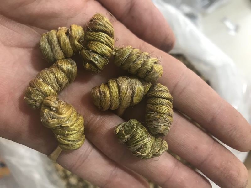 霍山仿野生铁皮石斛枫斗铁皮石斛干条寸条芽条石斛粉500克