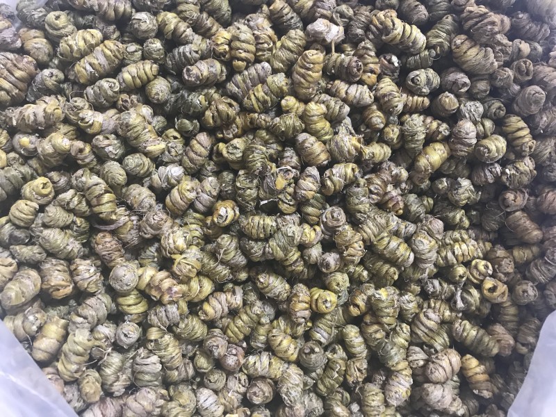 霍山仿野生铁皮石斛枫斗铁皮石斛干条寸条芽条石斛粉500克