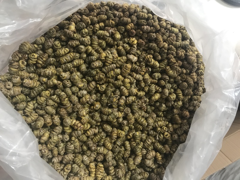 霍山仿野生铁皮石斛枫斗铁皮石斛干条寸条芽条石斛粉500克