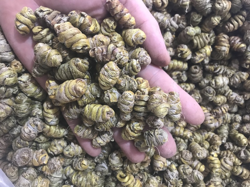 霍山仿野生铁皮石斛枫斗铁皮石斛干条寸条芽条石斛粉500克