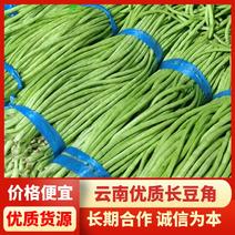 云南精品长豆角，长豇豆，一手货源，新鲜60～80com